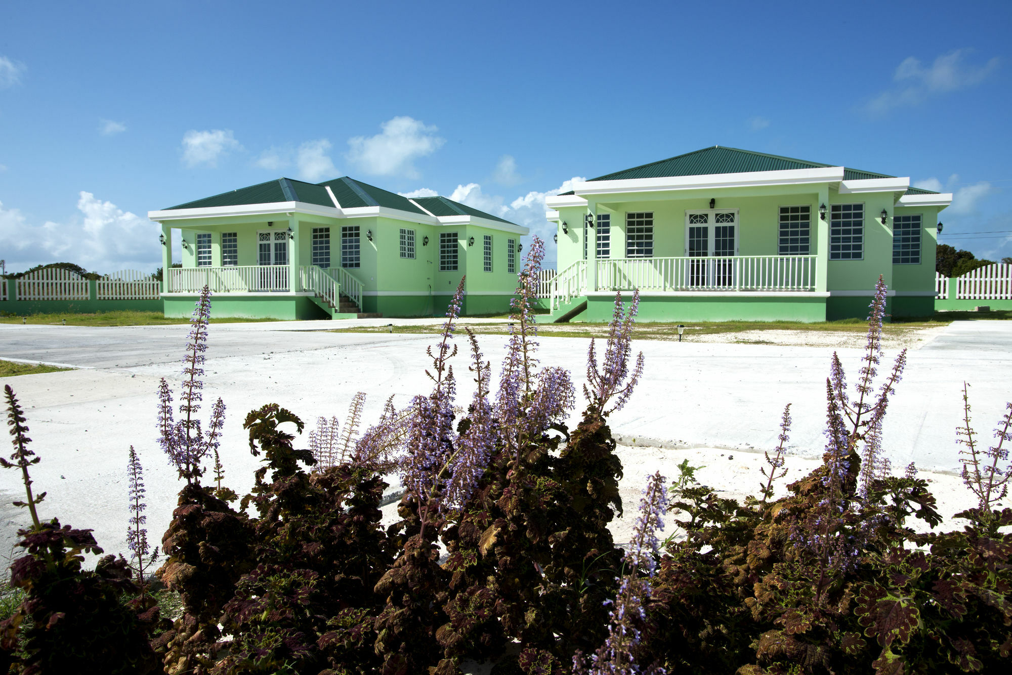 Sea Grape Villas The Settlement Zewnętrze zdjęcie